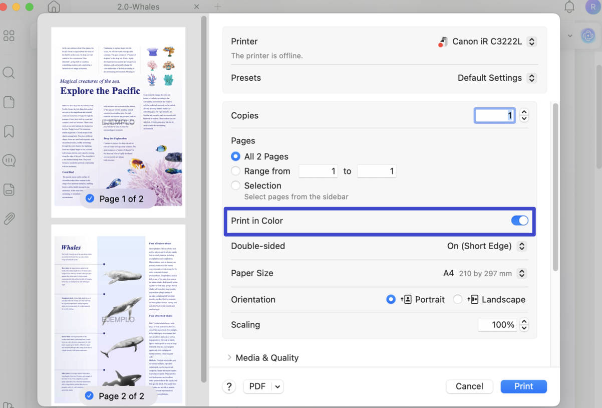 Print a PDF in Black and White on Mac