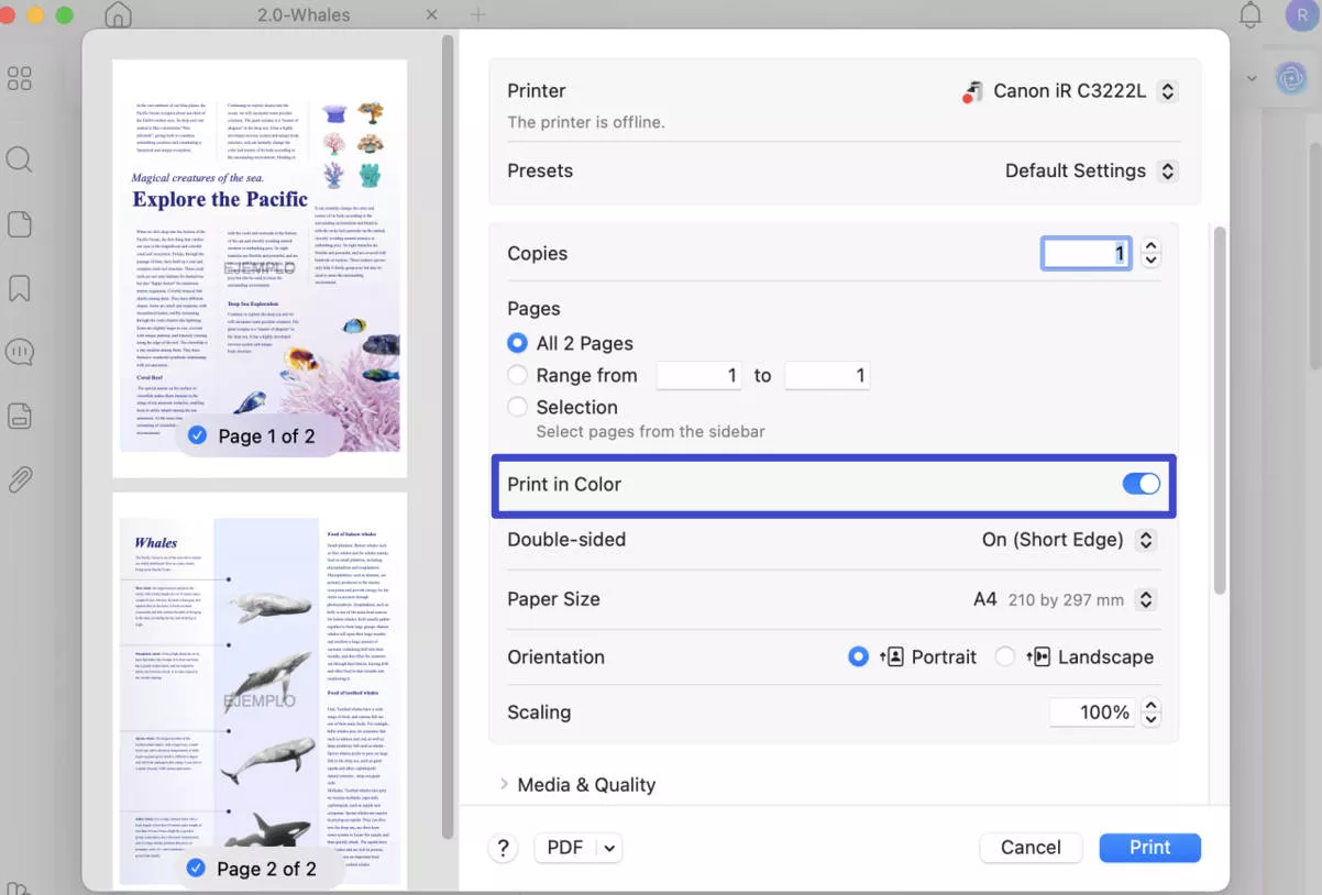 Print a PDF in Black and White on Mac