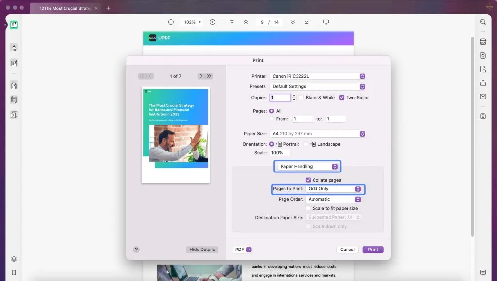 Print Odd Pages in PDF on Mac using UPDF