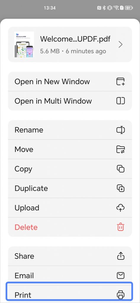 print pdf file