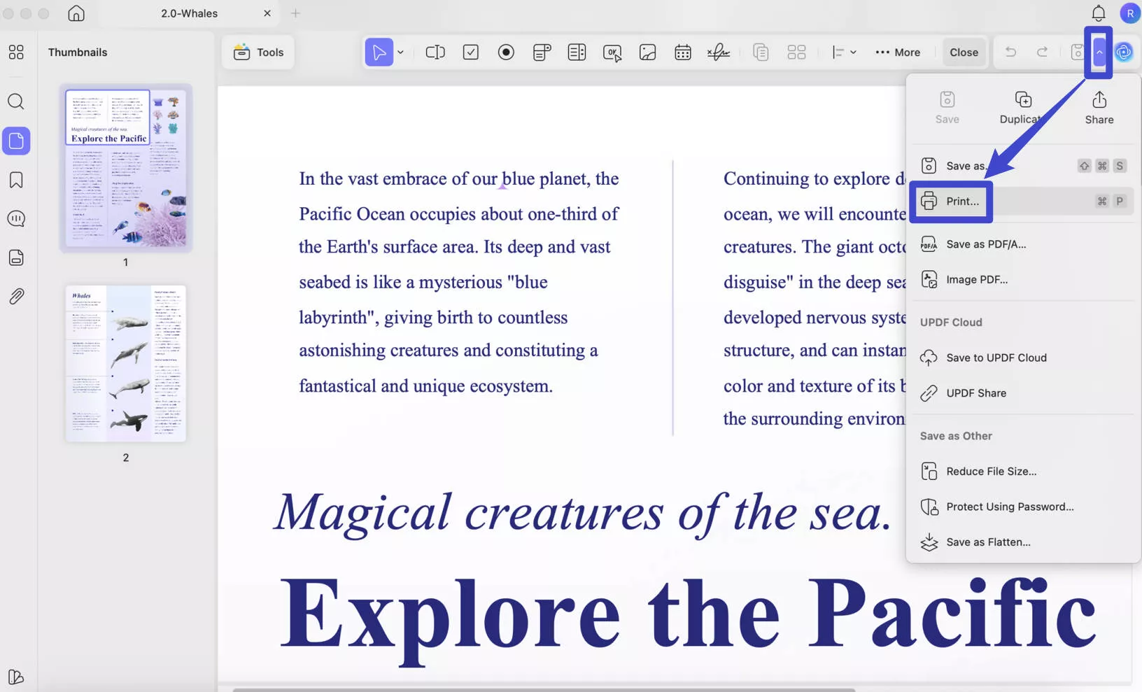 print pdf on mac with updf
