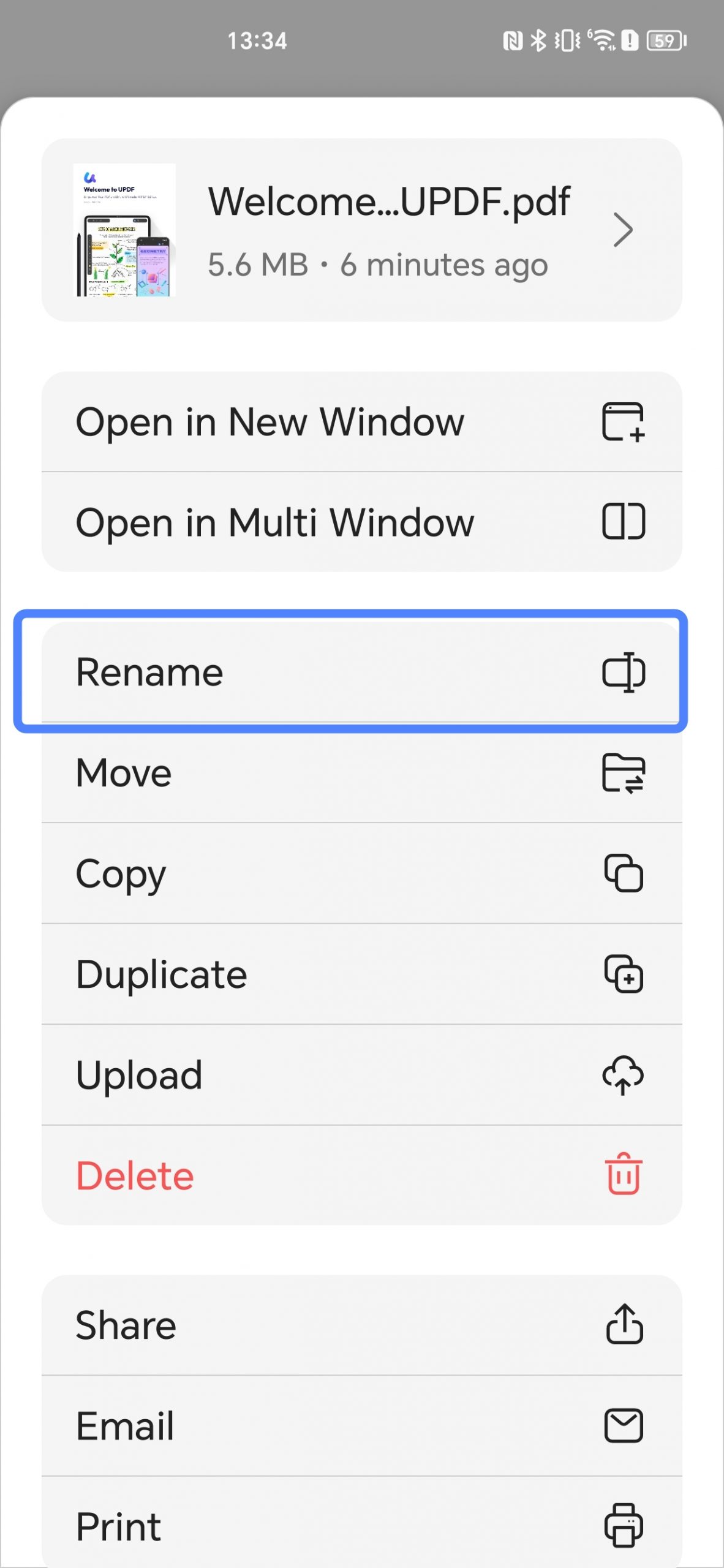 rename the pdf