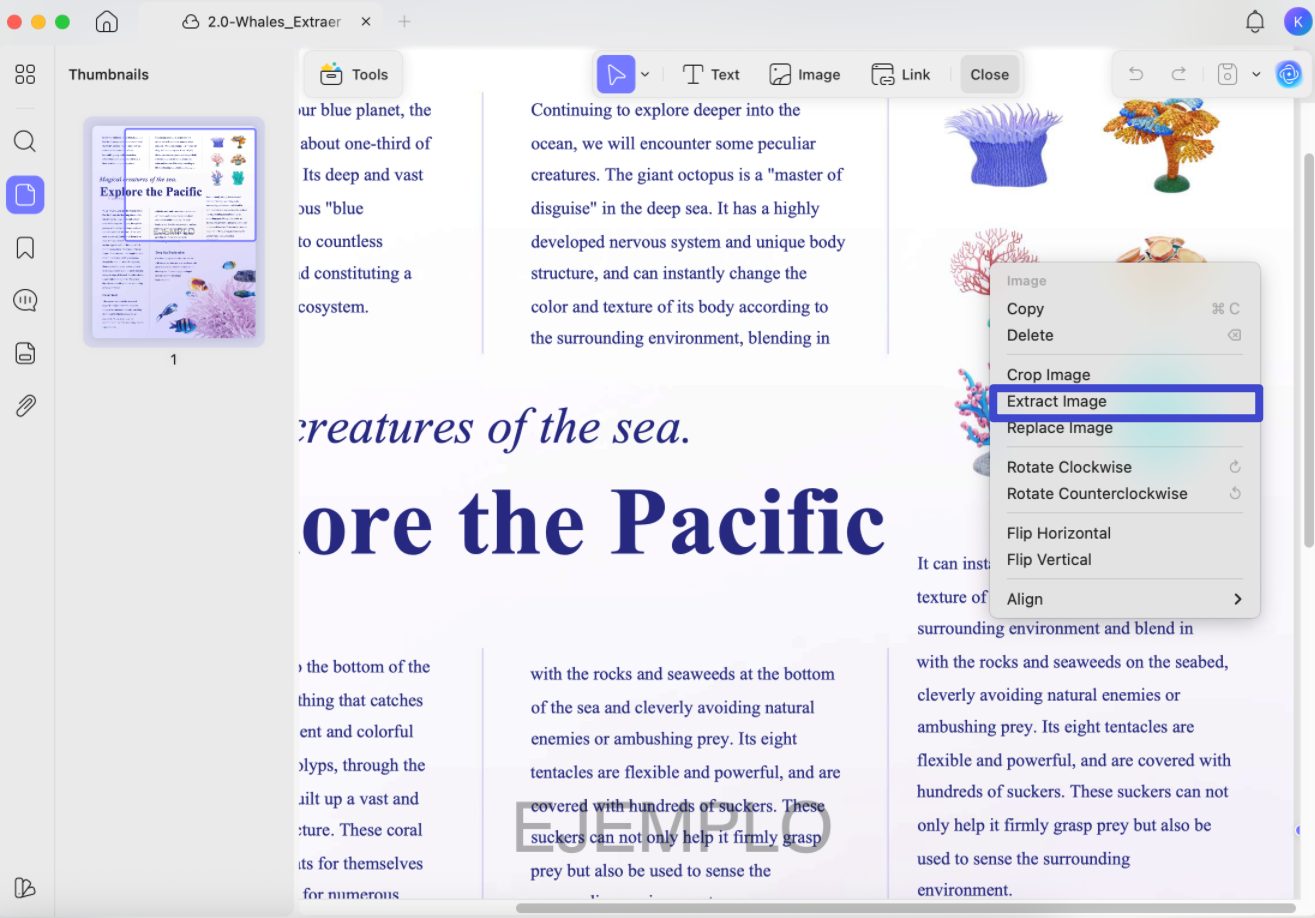 extract image from pdf on mac by right click image