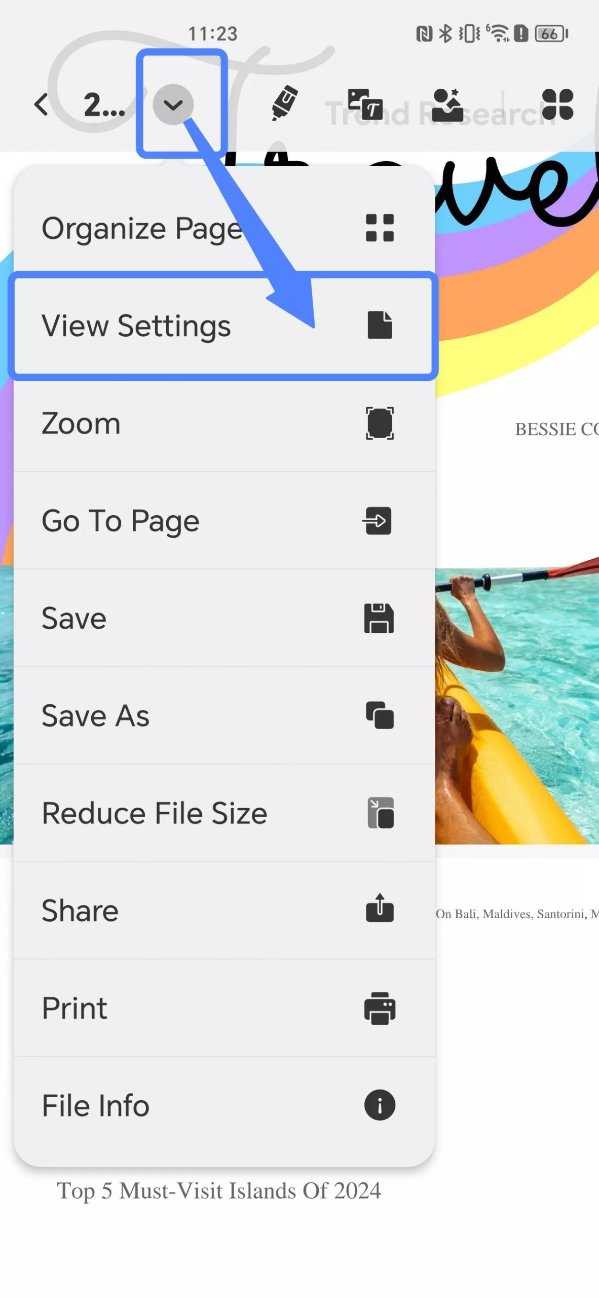 view settings in updf android
