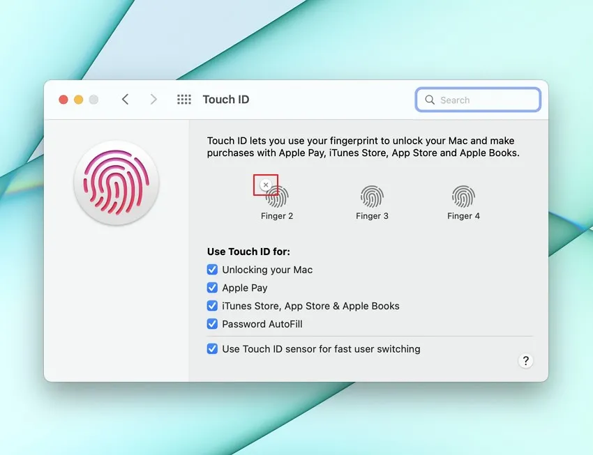 delete mac touch id