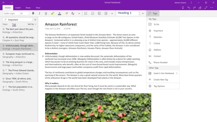 aplicación para tomar notas de microsoft onenote para windows