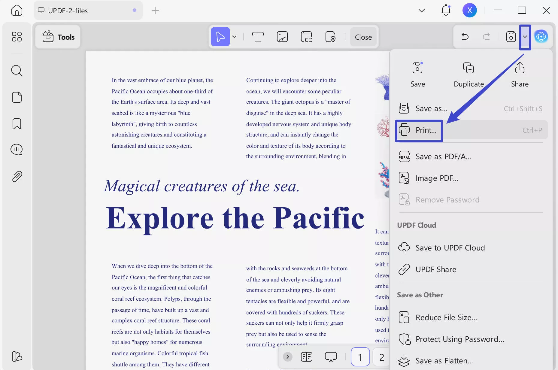 print PDF to reduce size