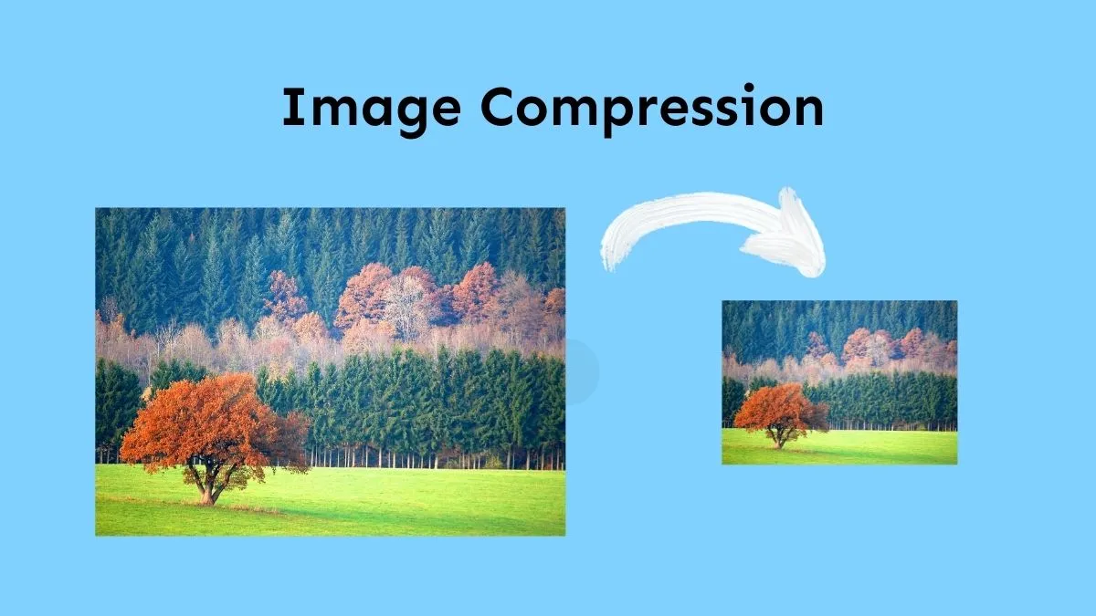 reducir el tamaño de una imagen pdf