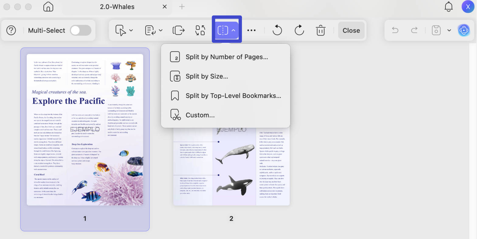 compress pdf mac split or custom split pages with UPDF