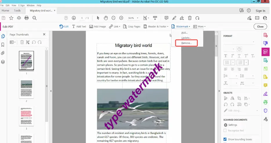 acorbat pdf watermark remover