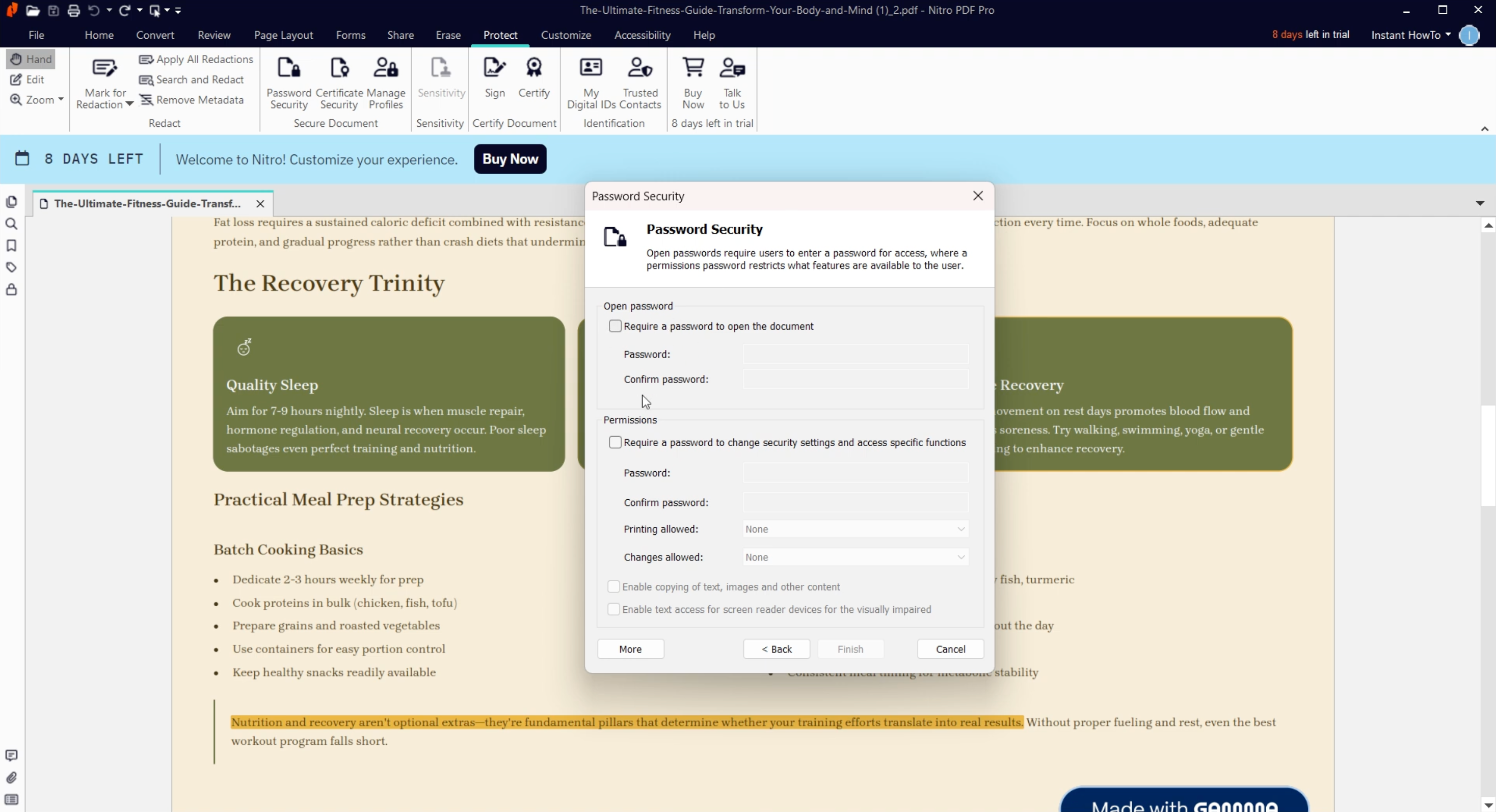 nitro pdf pro protect pdf