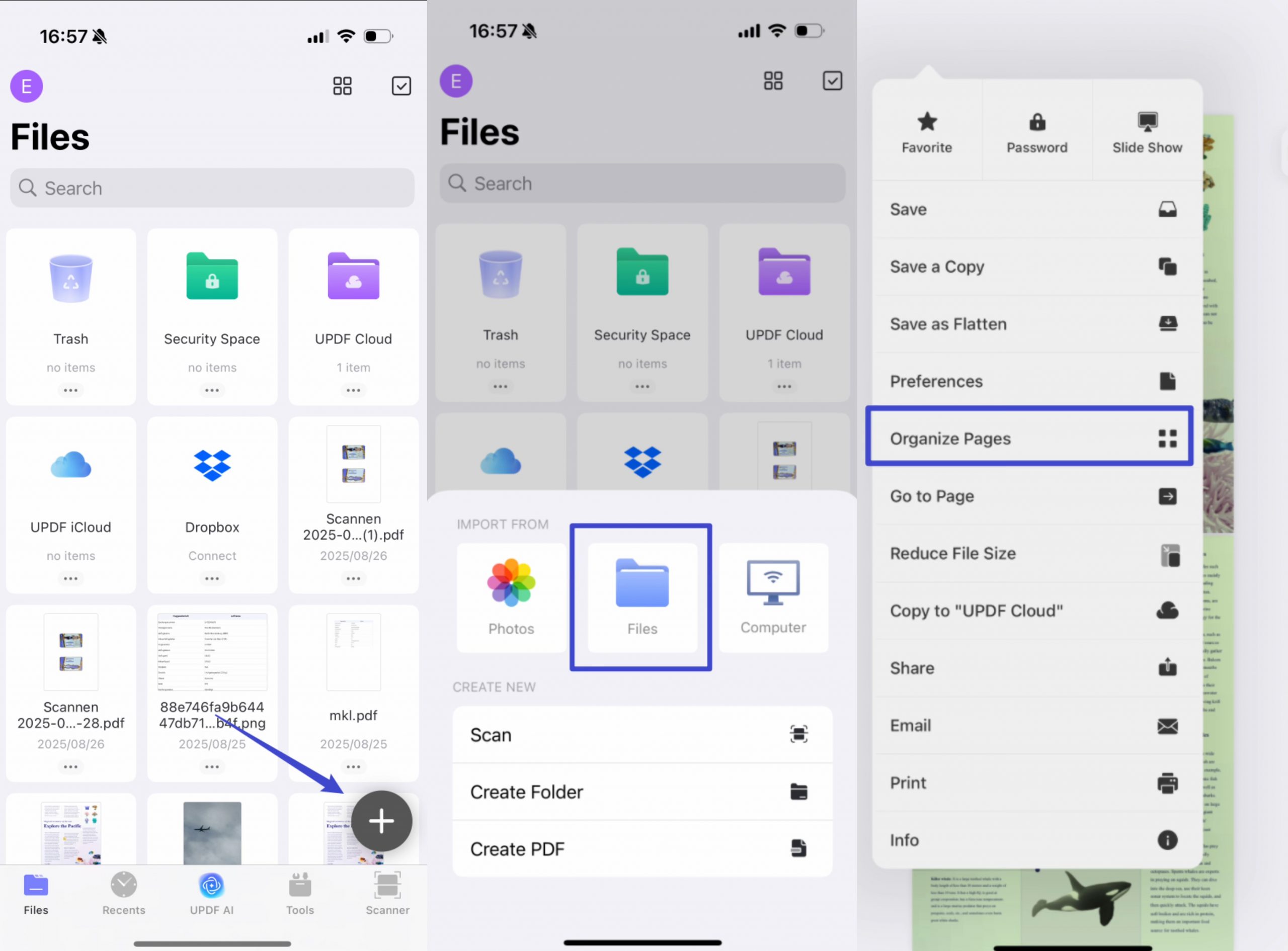 add pdf and organize ios