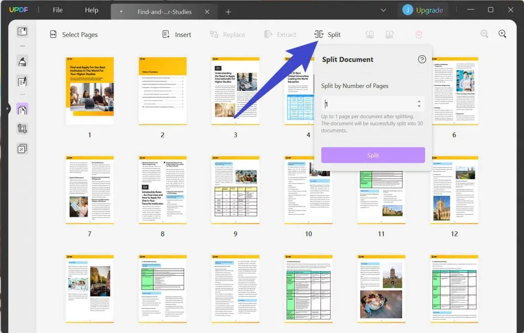 Split PDF Pages Like a Pro: 4 Top Methods Revealed