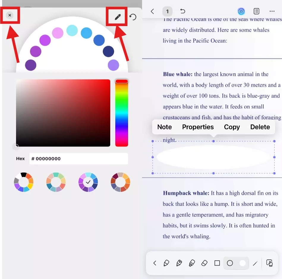 color palette options