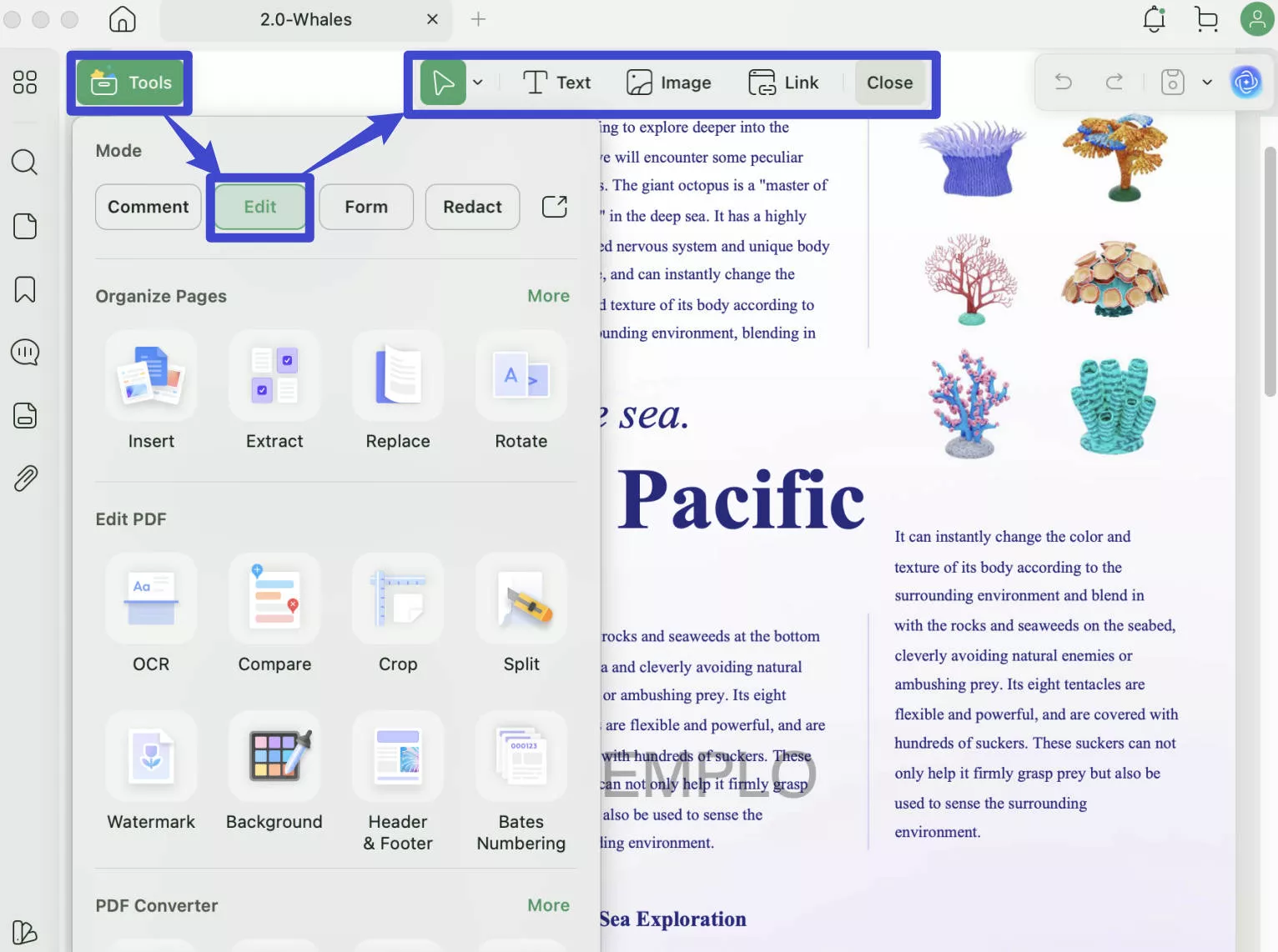 edit pdf mac