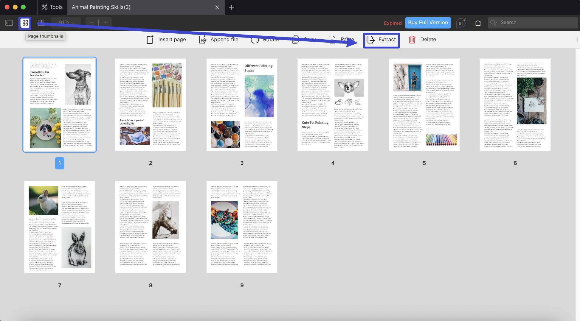 page thumbnail pdf expert mac