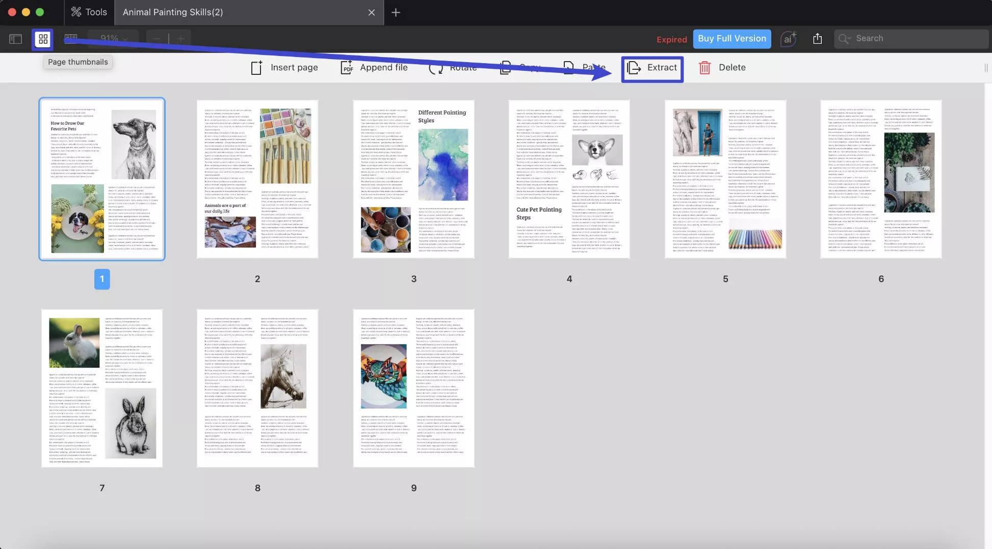 page thumbnail pdf expert mac
