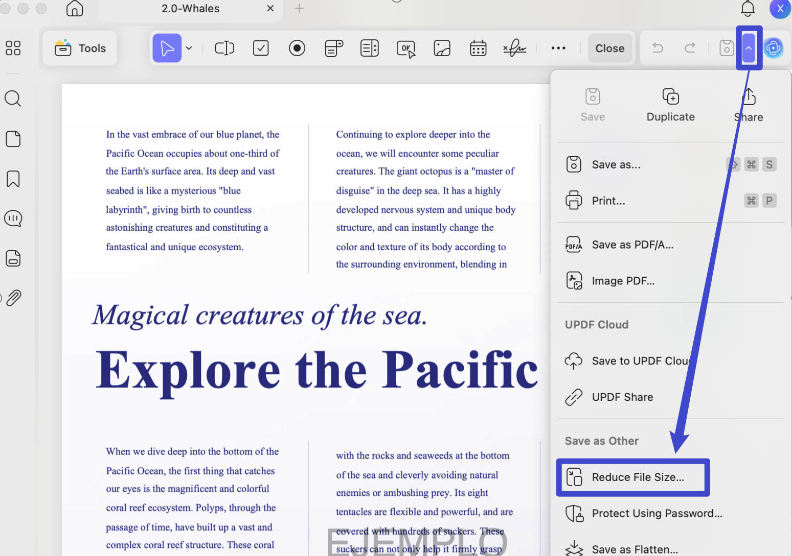 resize PDF mac