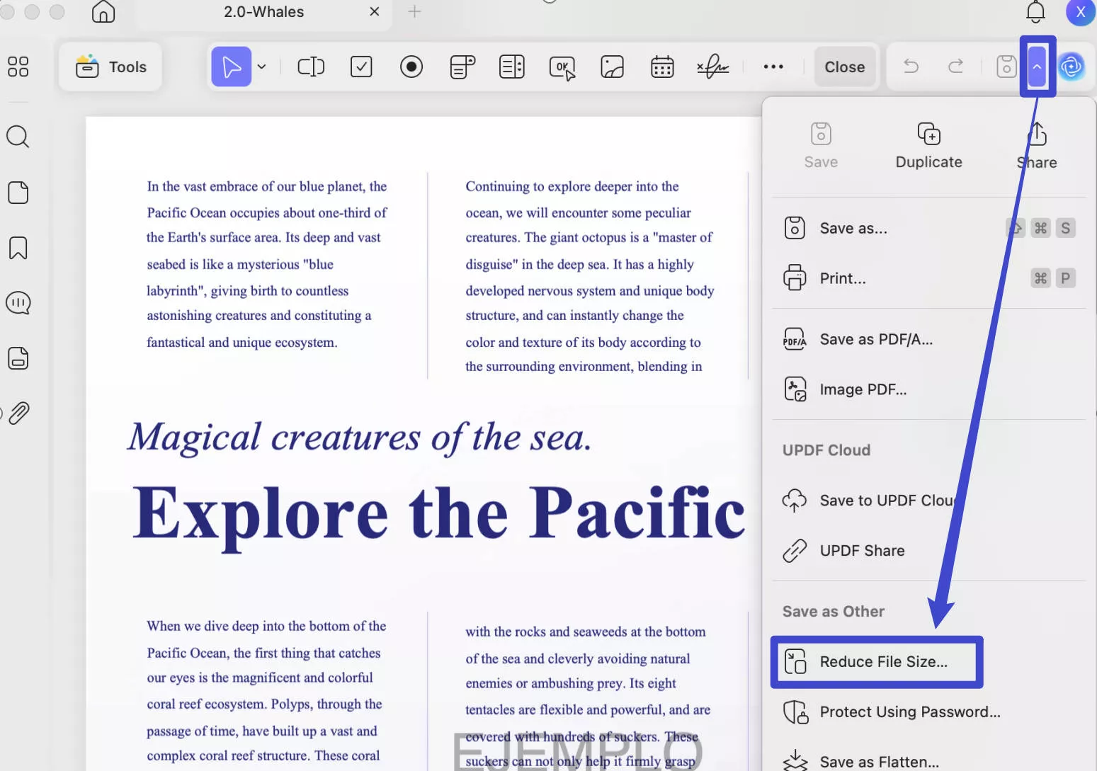 resize PDF mac