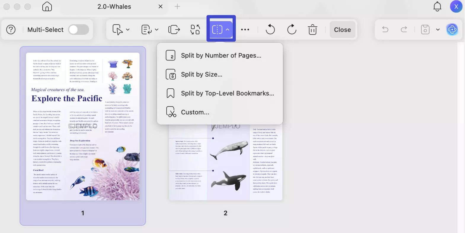 Resize PDF on Mac by Splitting PDF Pages