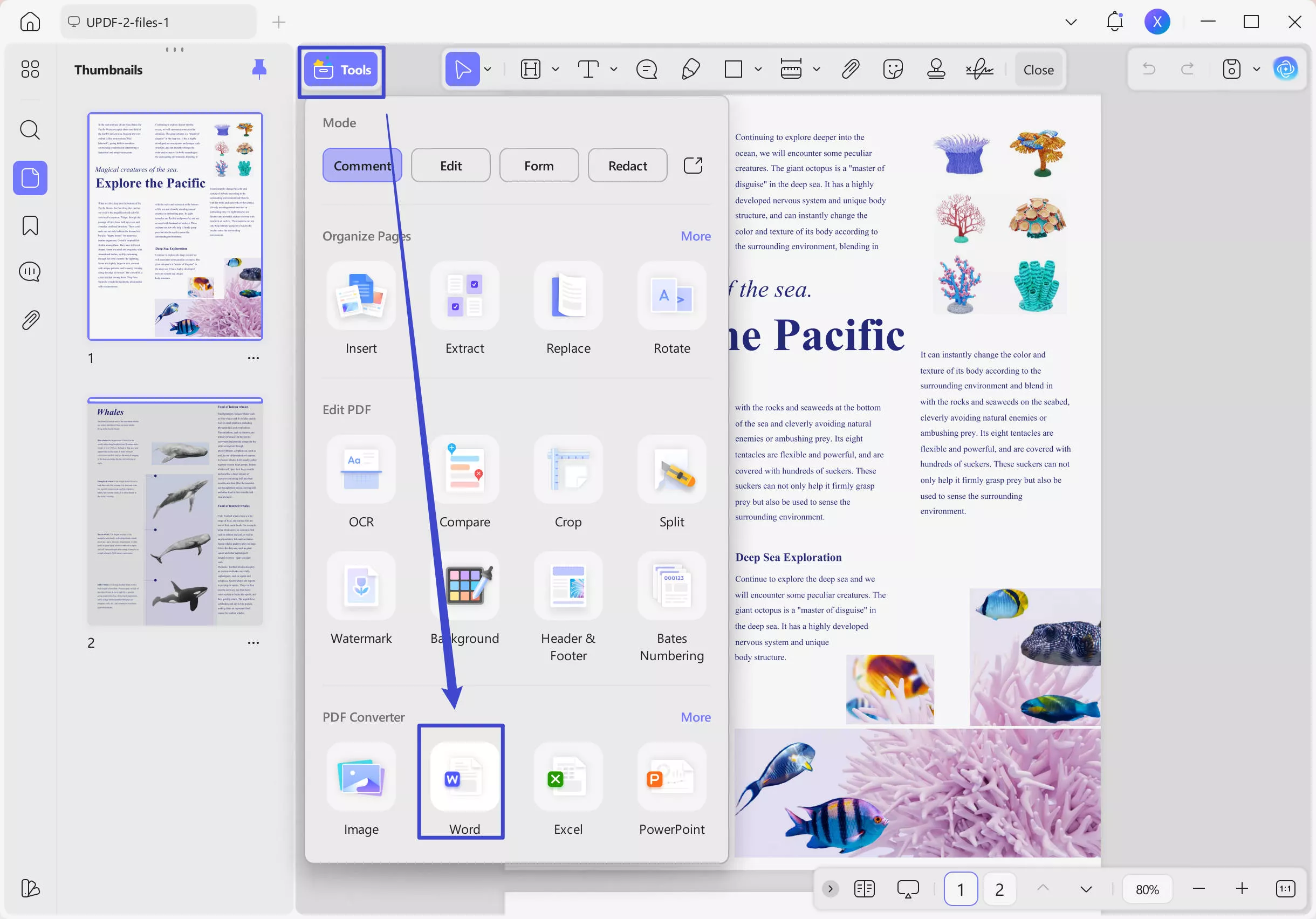 convert pdf image to word