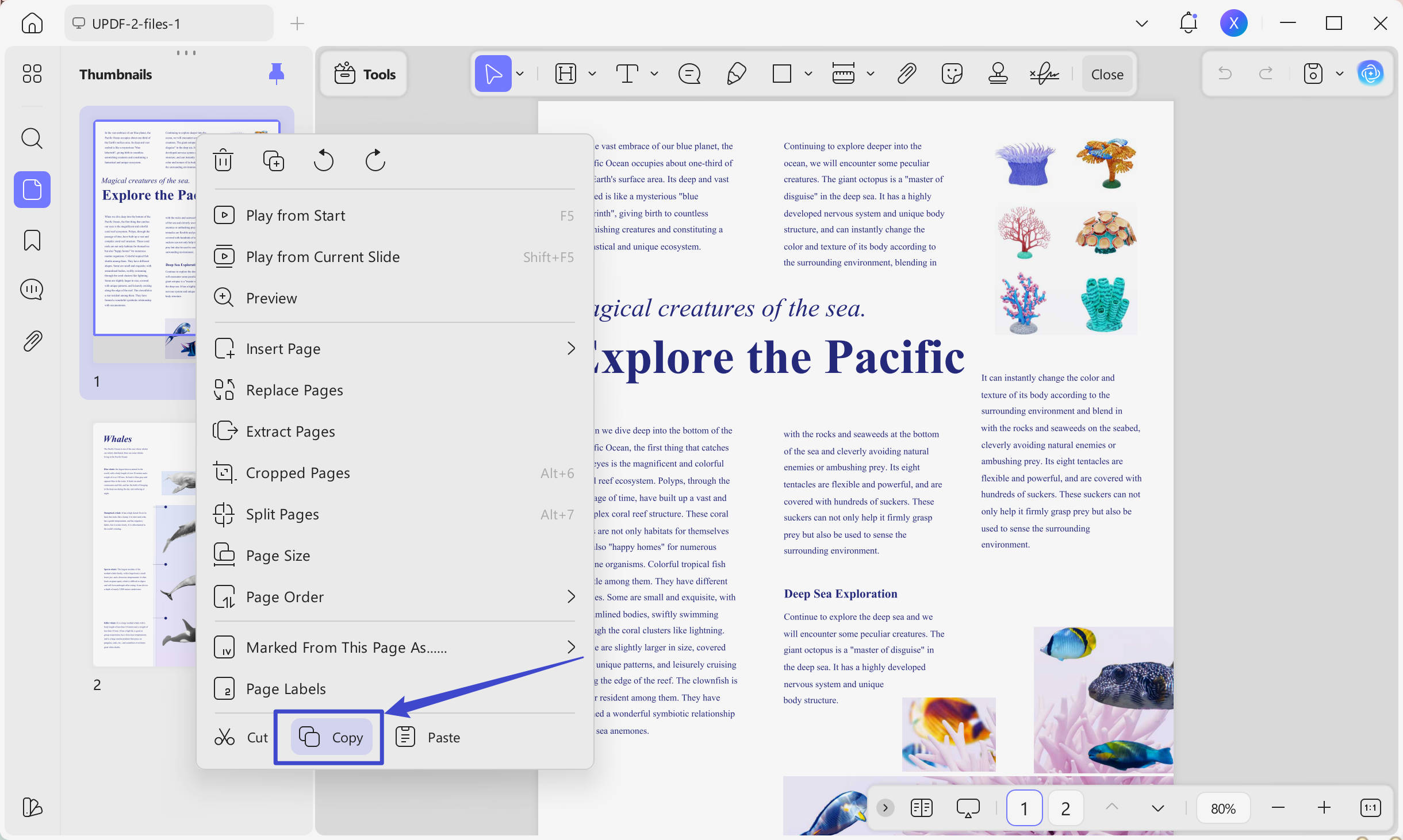 pdf image to word