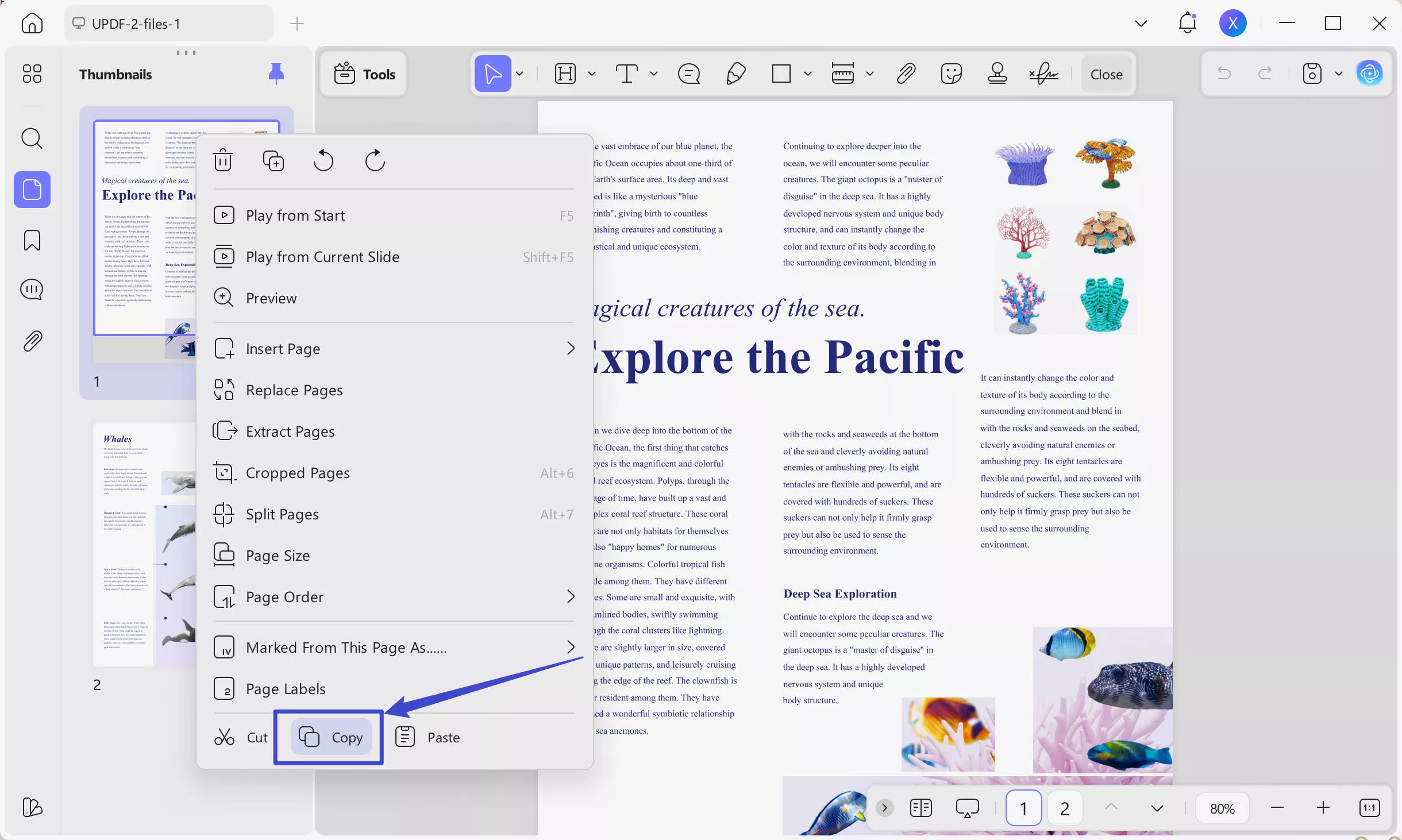 pdf image to word