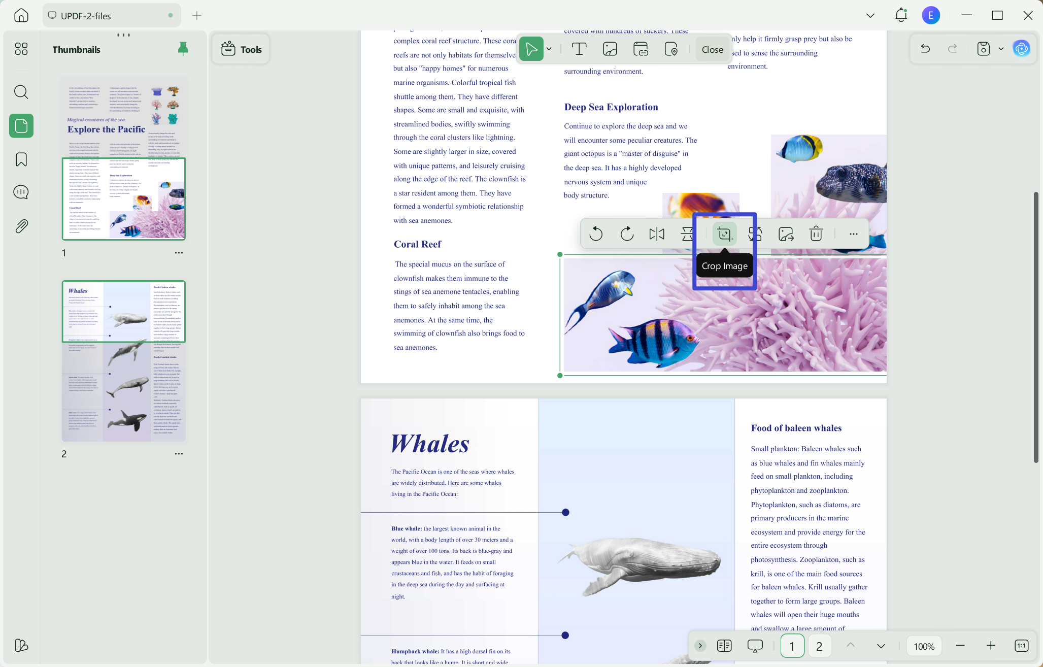 copy image from pdf to word