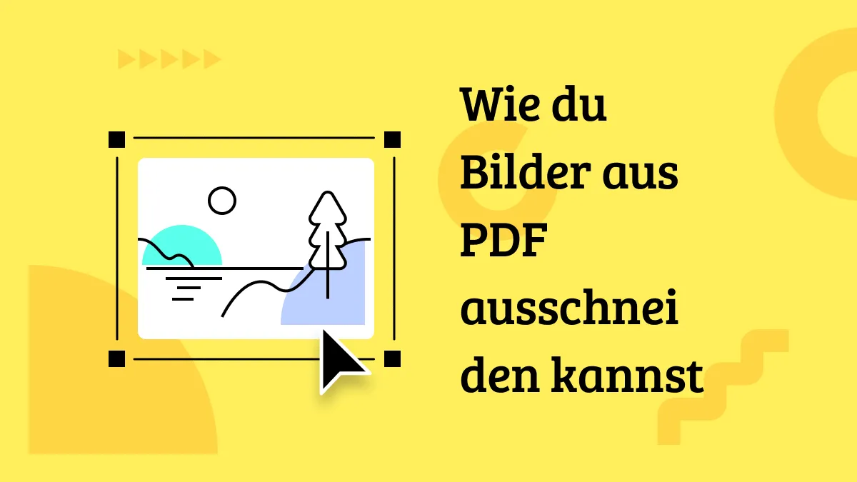 Wie du Bilder aus PDF ausschneiden kannst