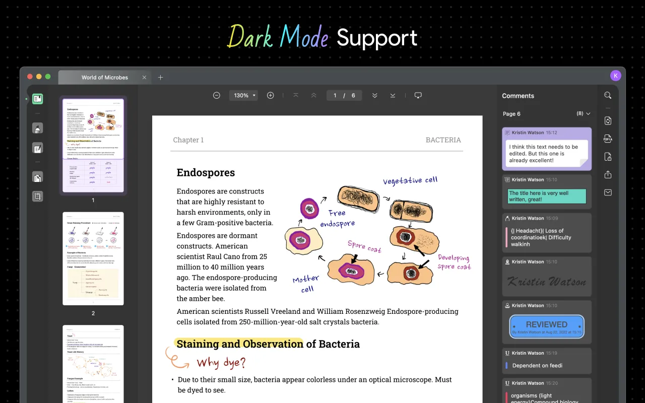 PDF-Reader für Mac Dark Mode