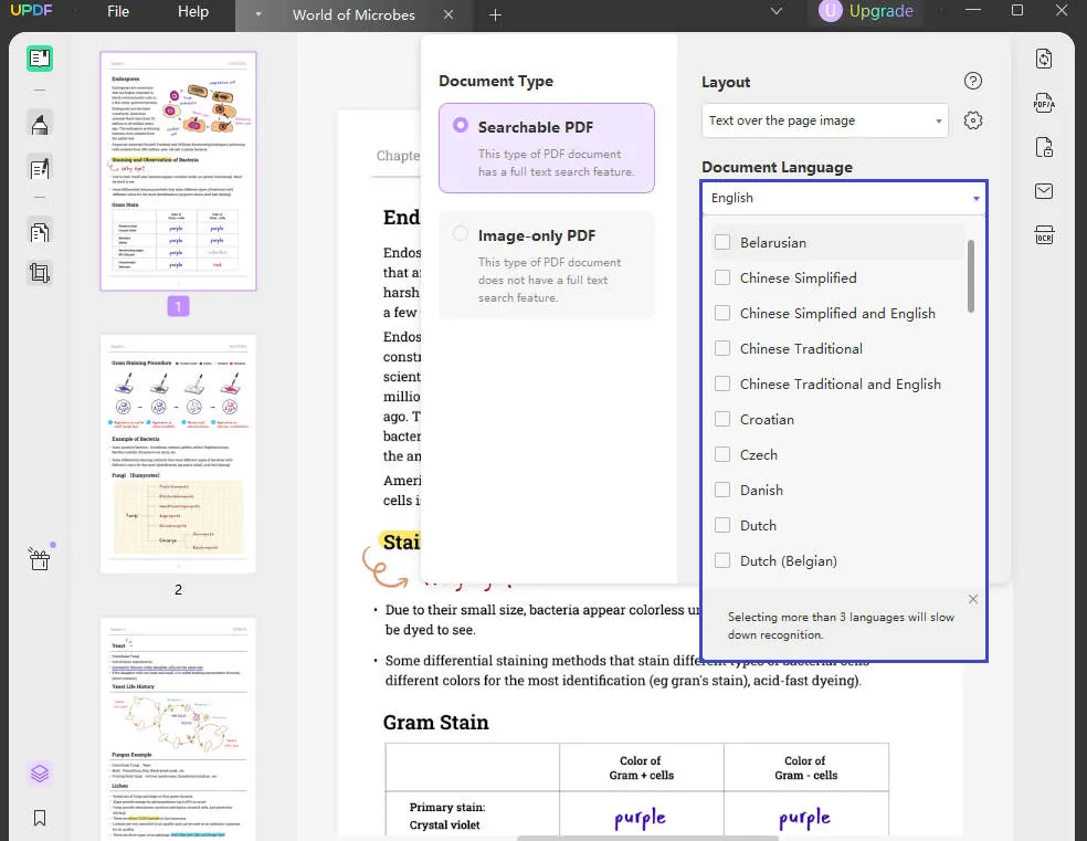 select the document language