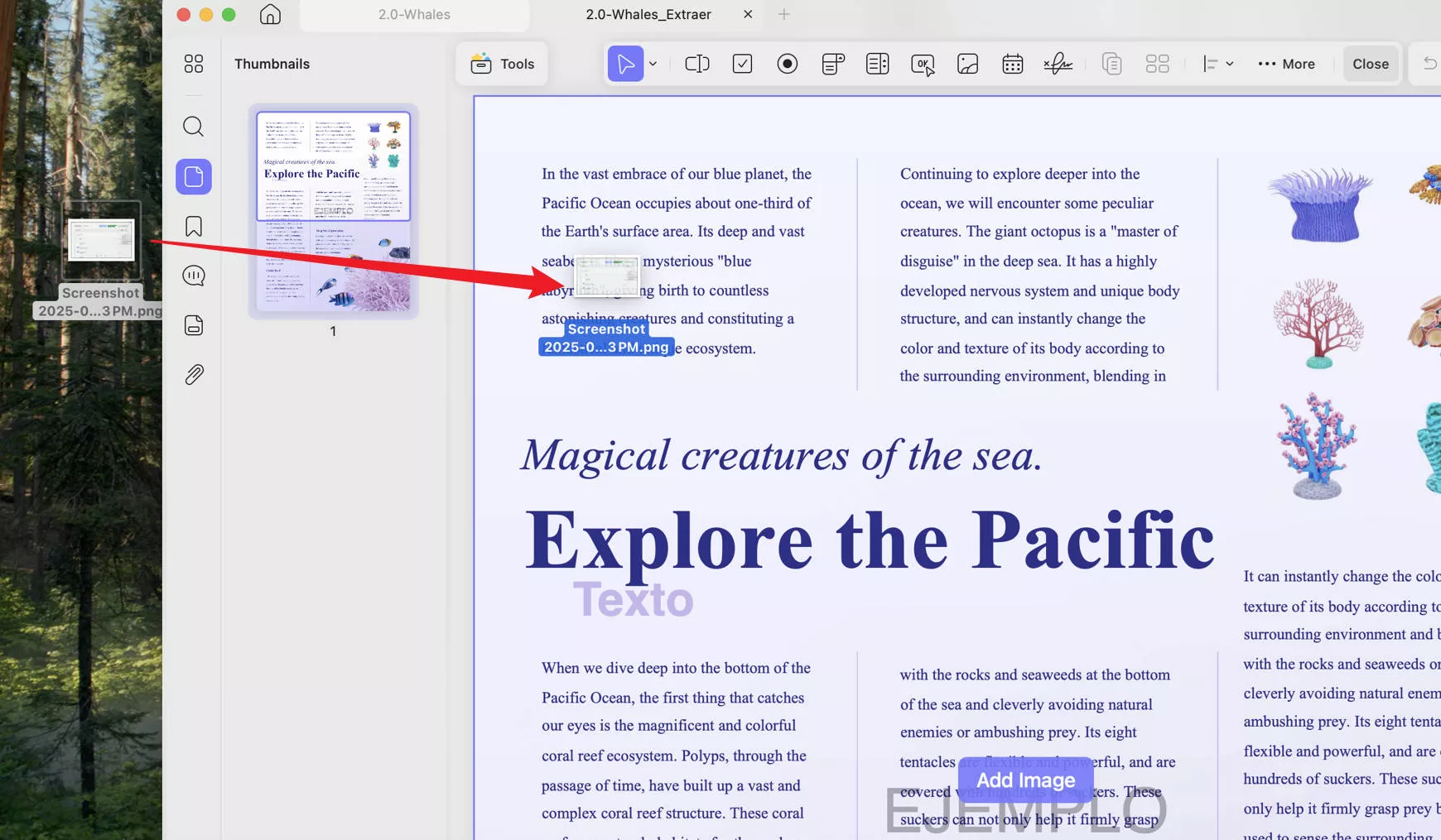 drag and drop image to replace image in pdf