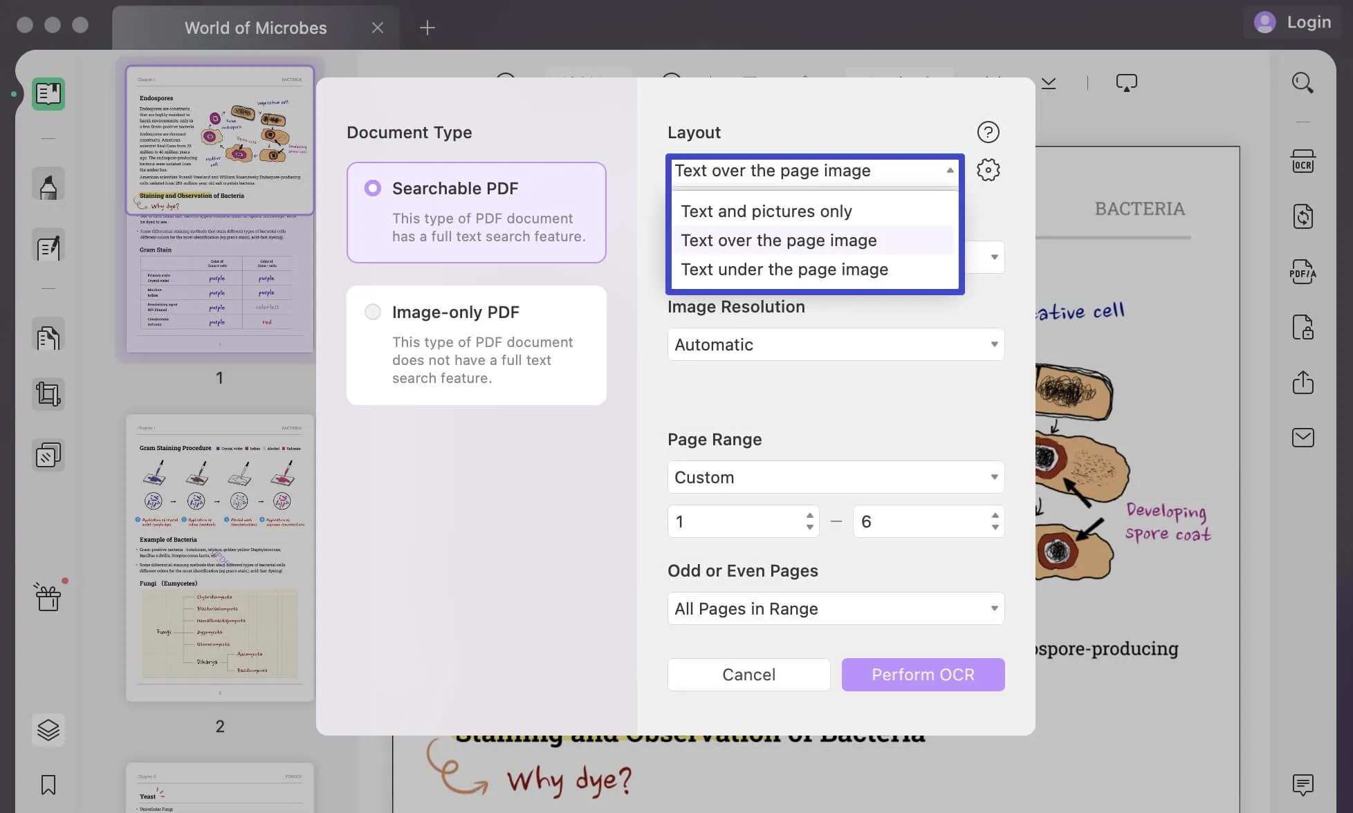 layout settings