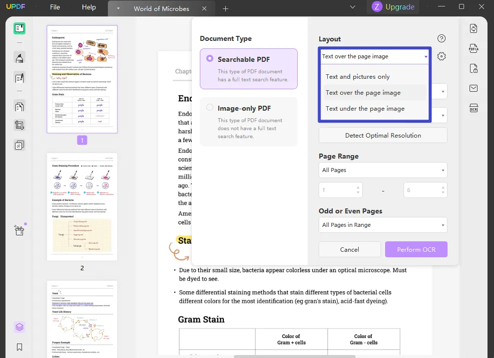 ocr layout setting