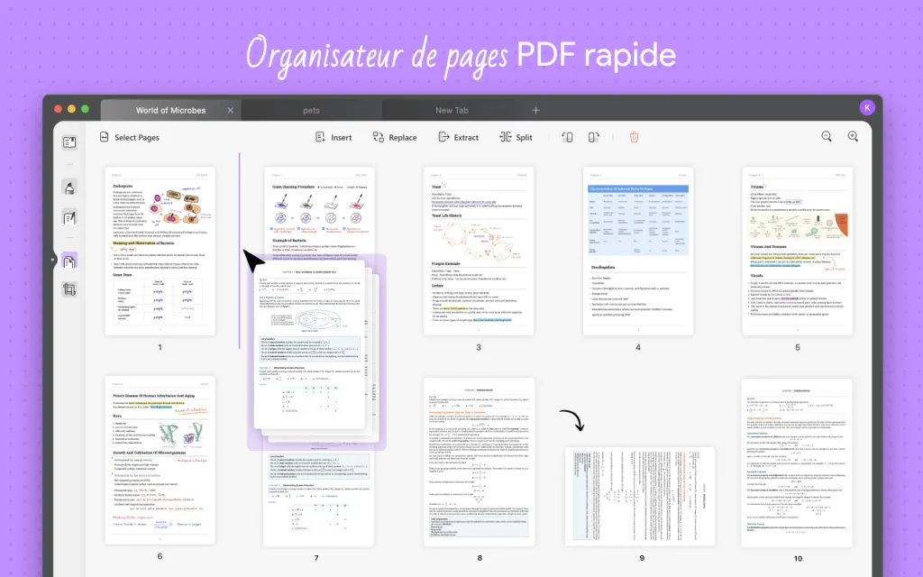 insérer une page dans un pdf