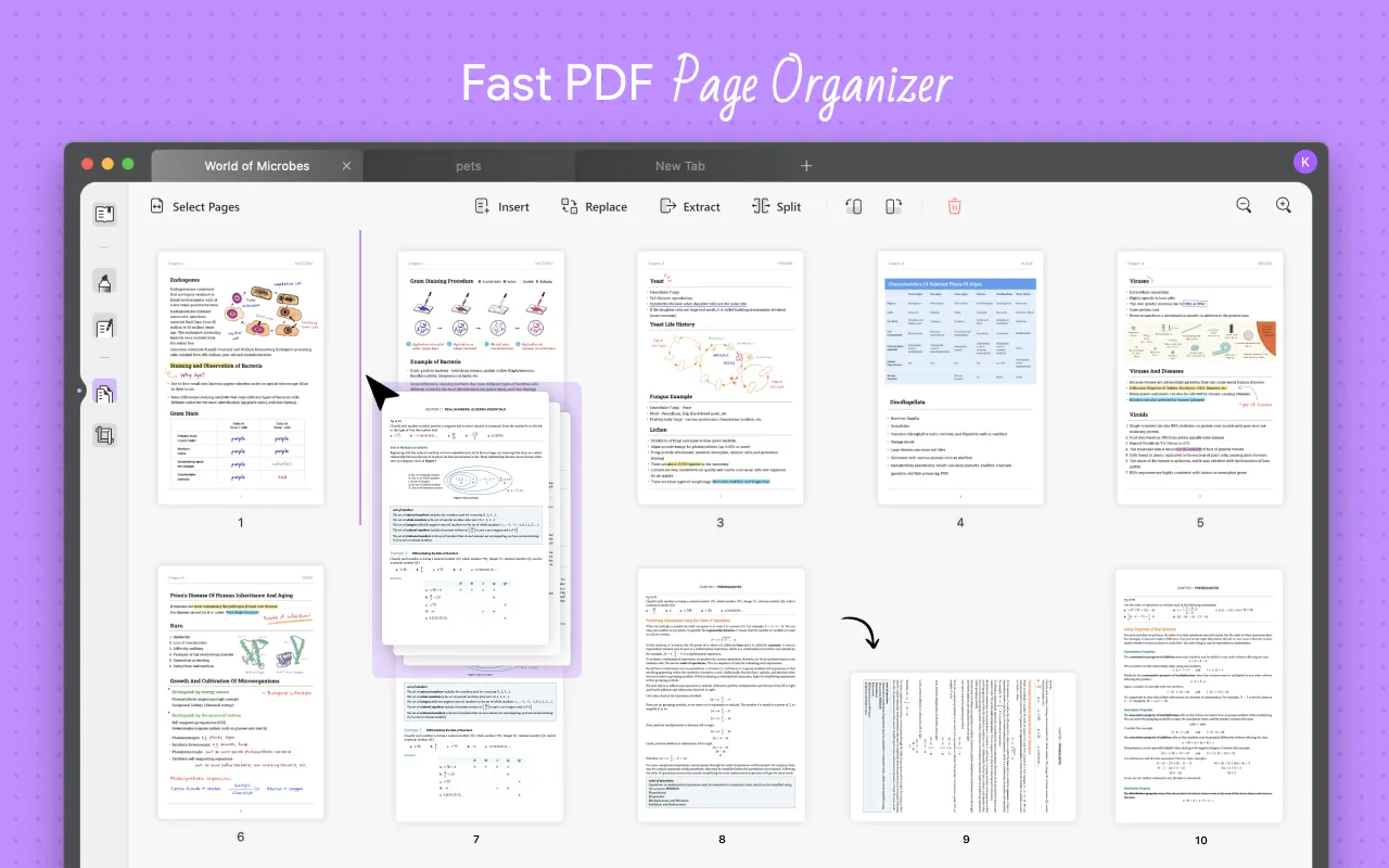 organizar pdf página updf