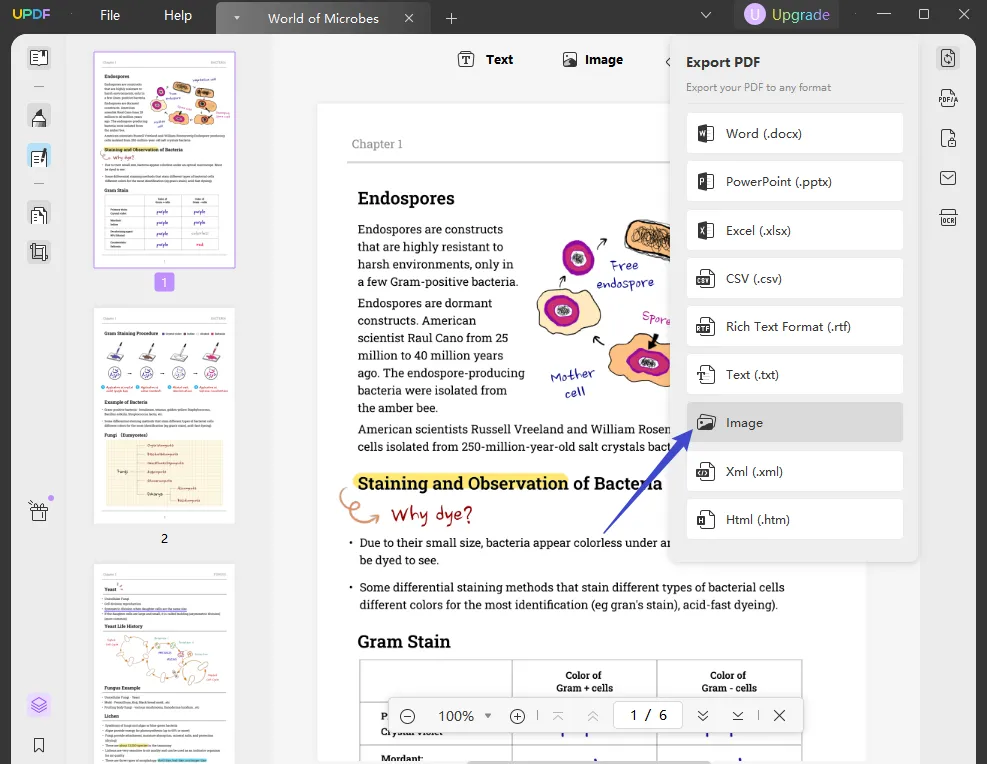 pdf to tiff export to tiff