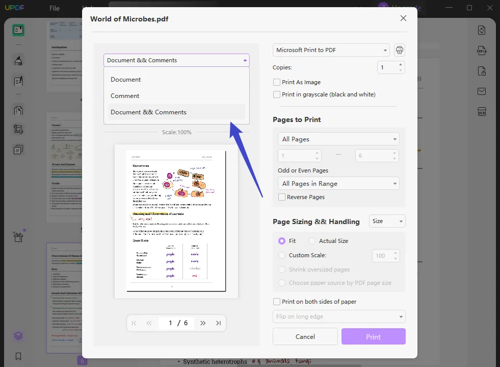 imprmir pdf con comentarios