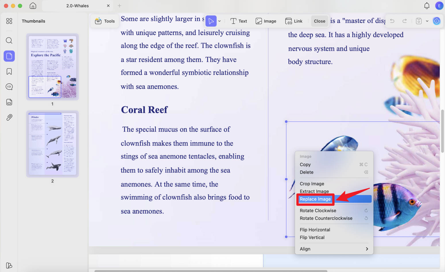 replace image in pdf on mac with right click
