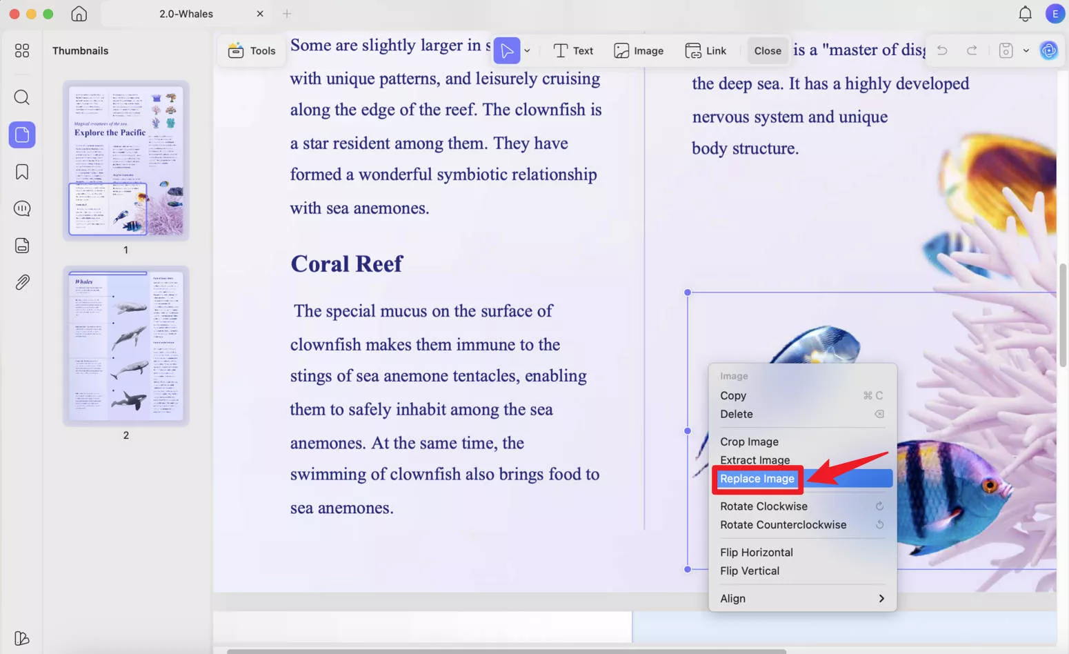 replace image in pdf on mac with right click
