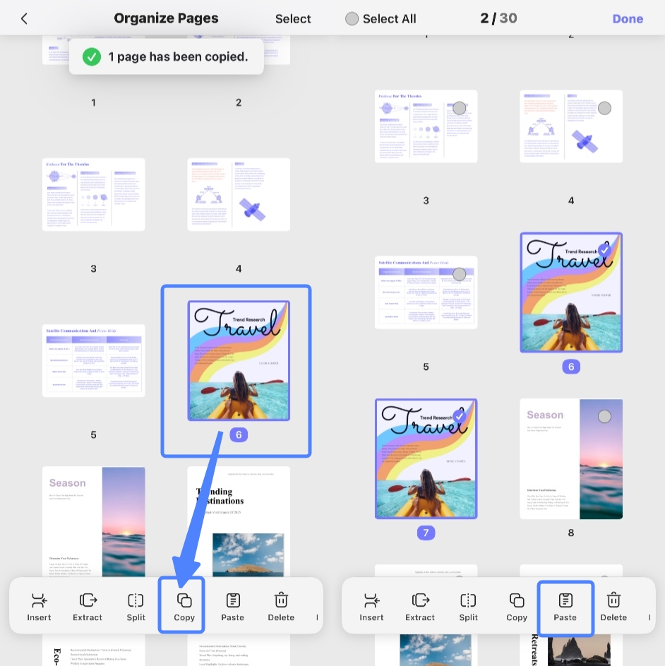 copy and paste pages 