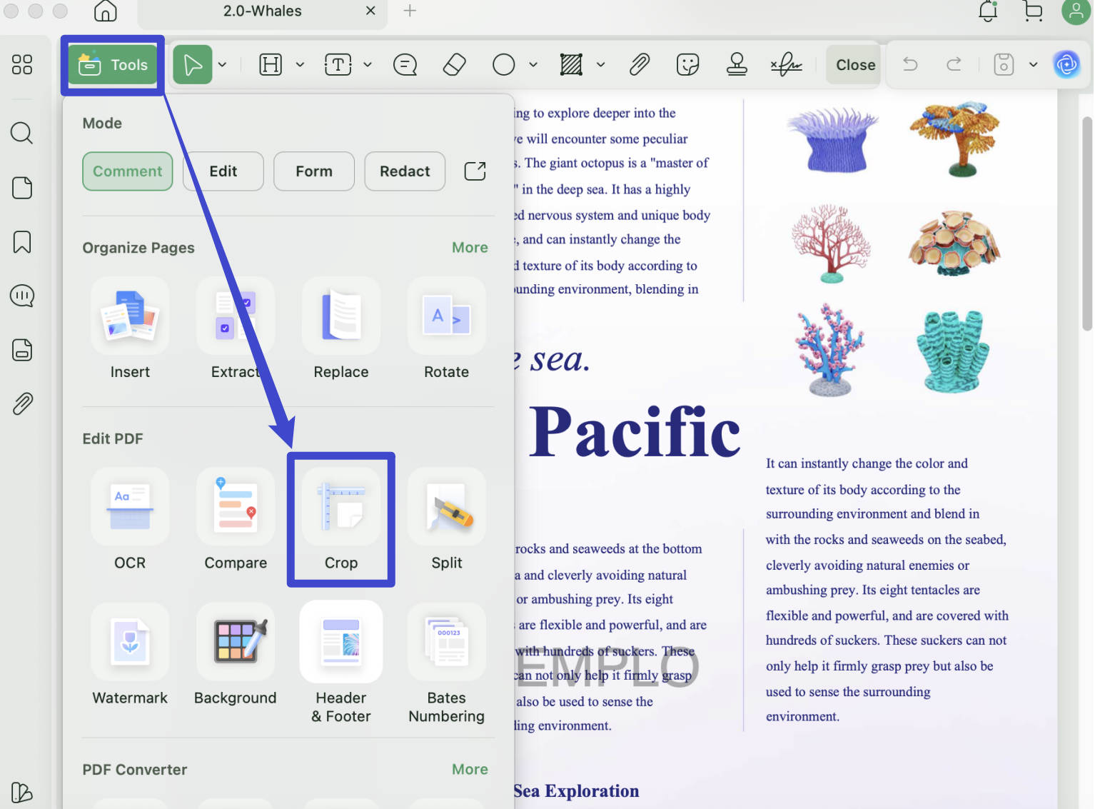 remove header and footer from pdf