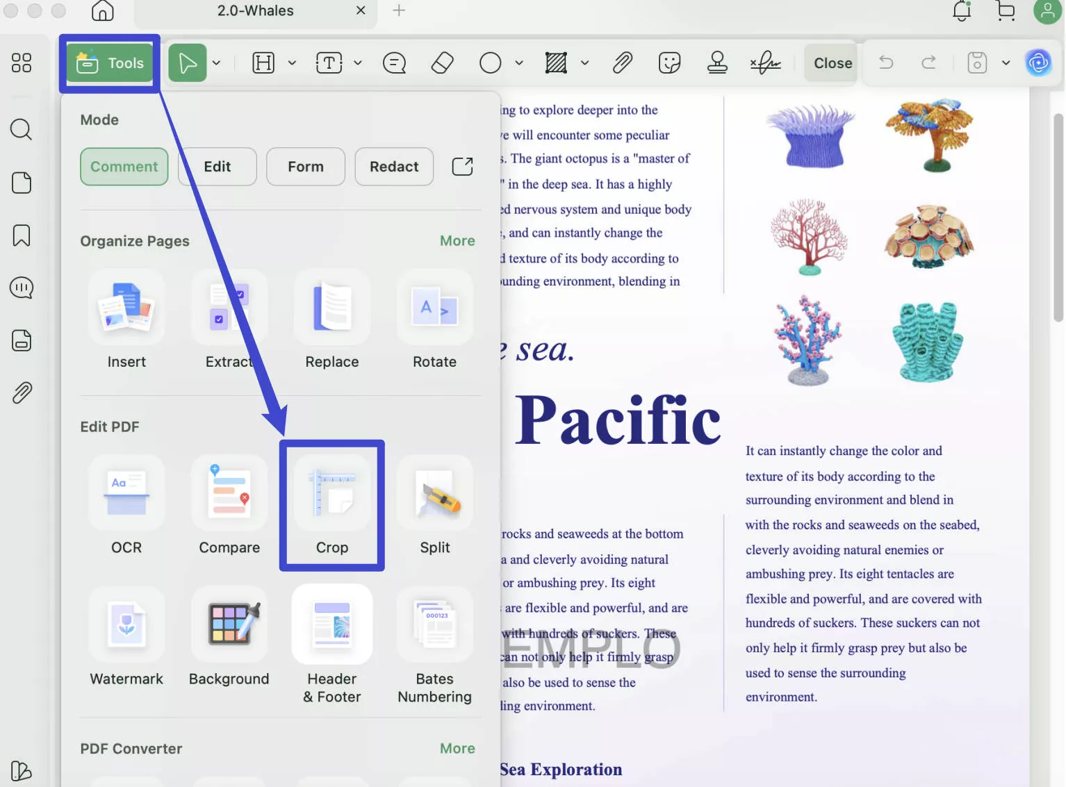 remove header and footer from pdf