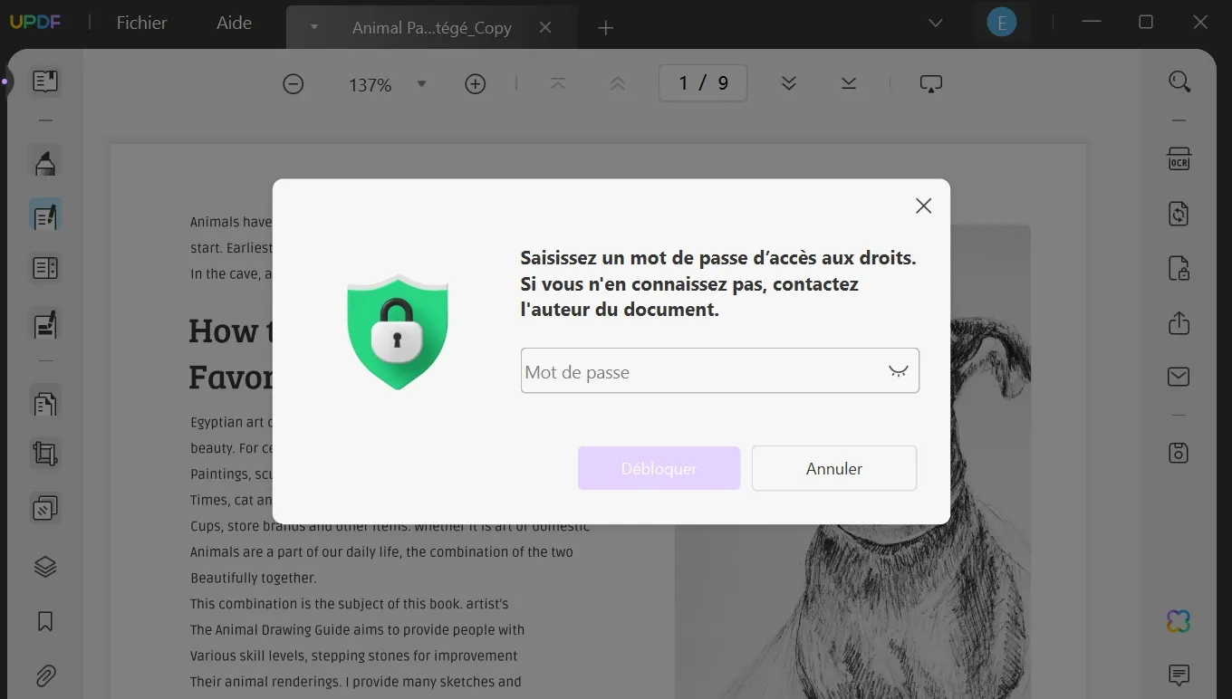 comment imprimer un document protégé par un mot de passe 