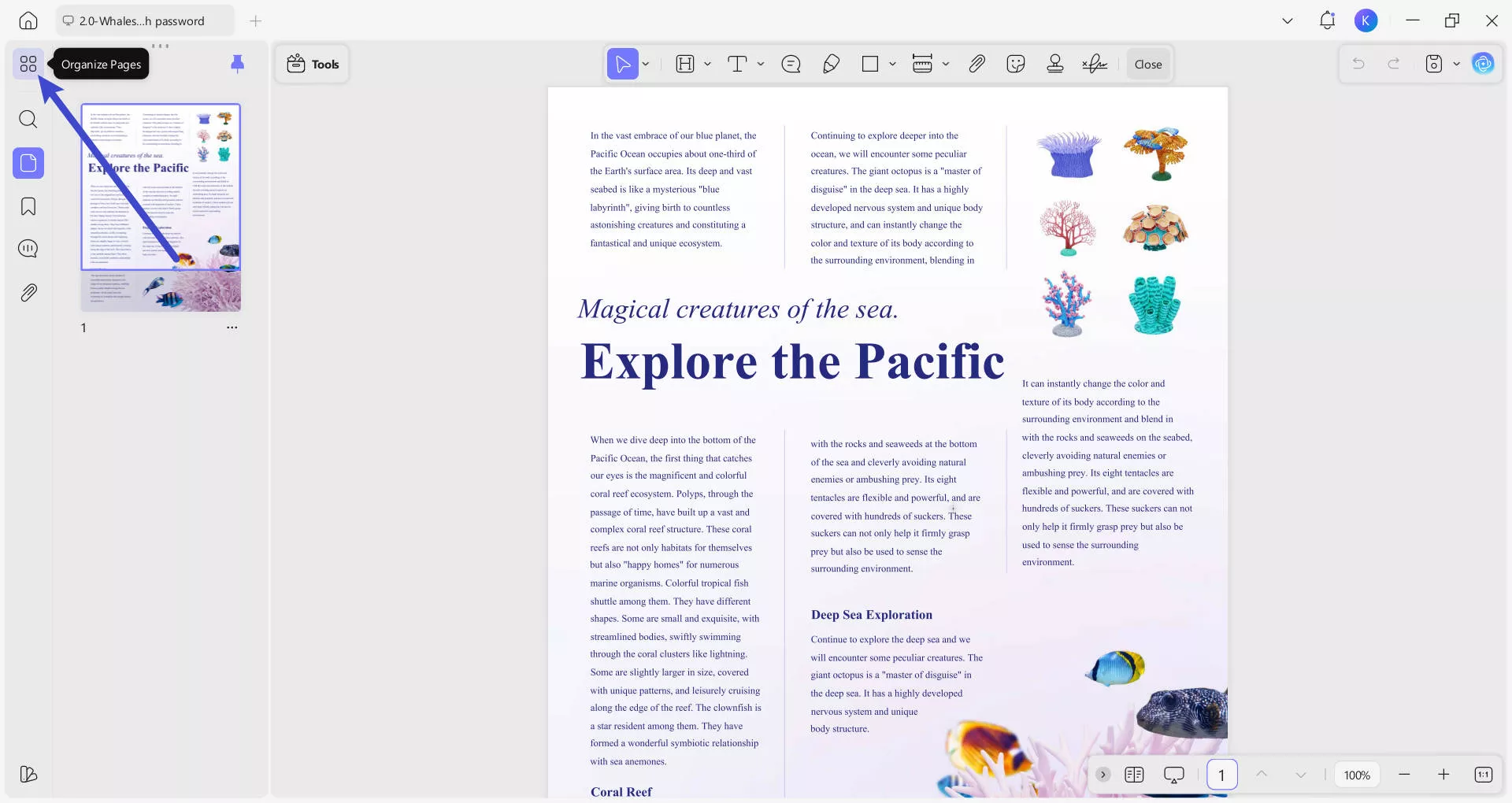 find organize pages in updf