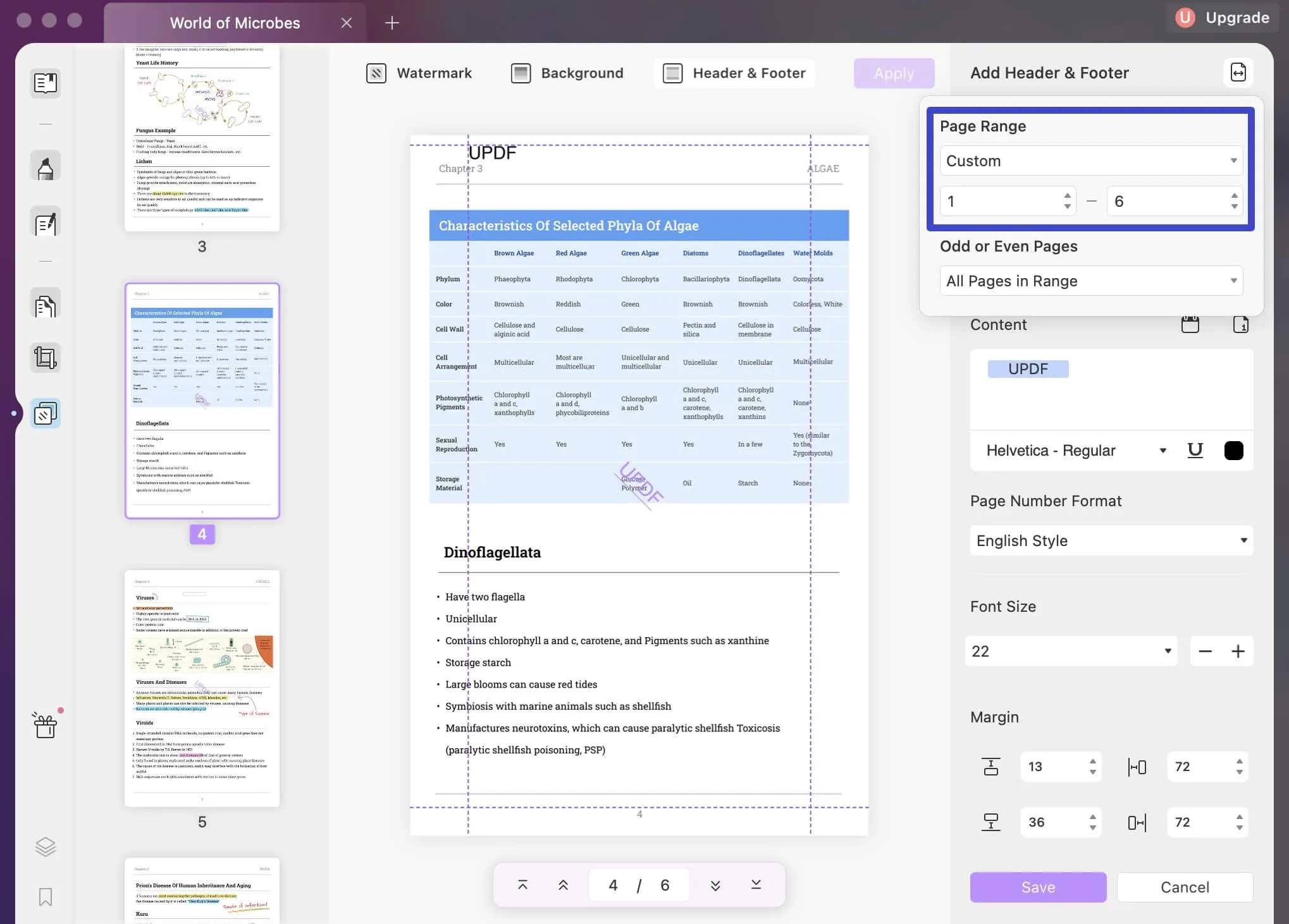 Encabezado y pie de página PDF