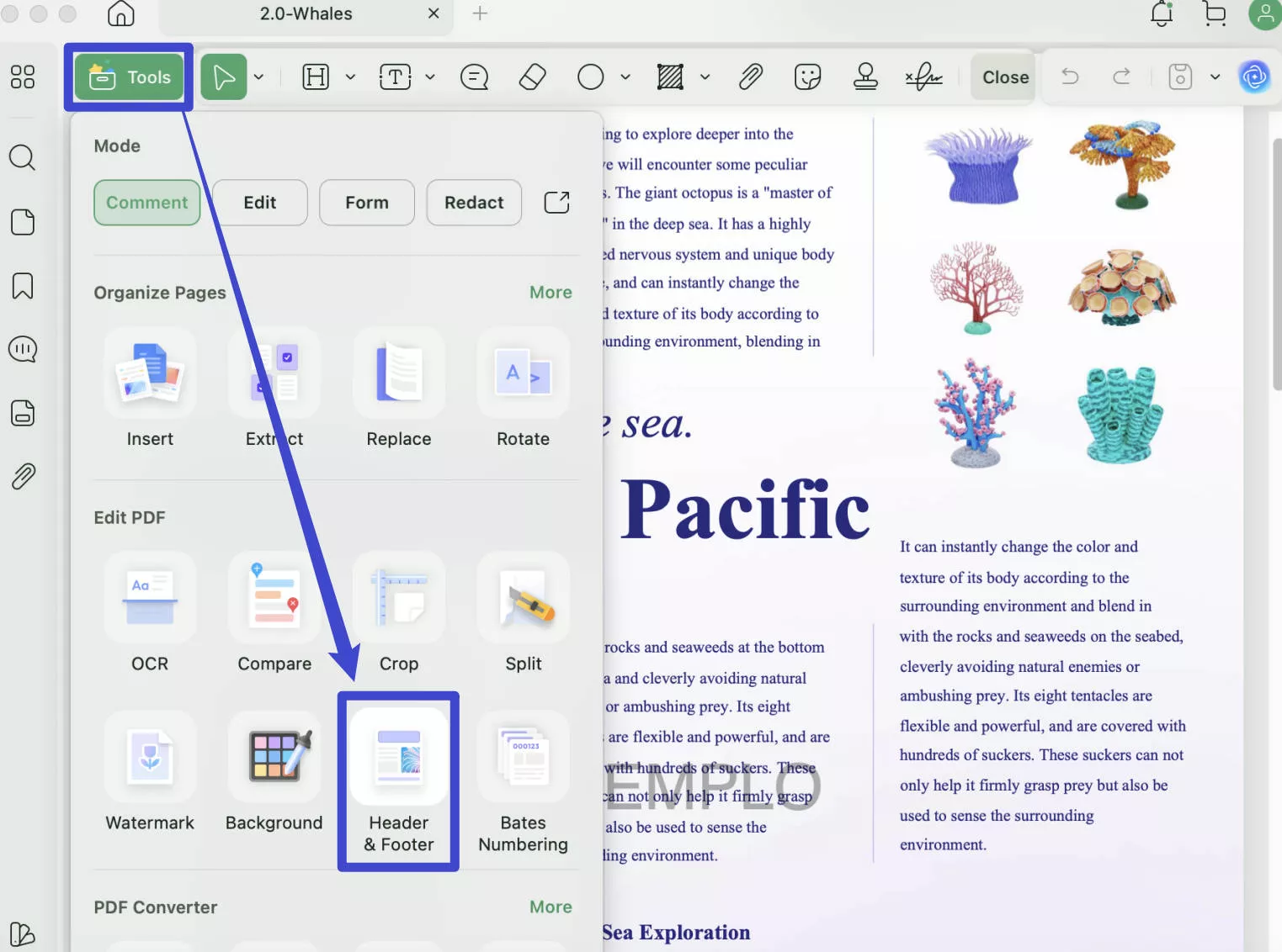 remove footer from pdf