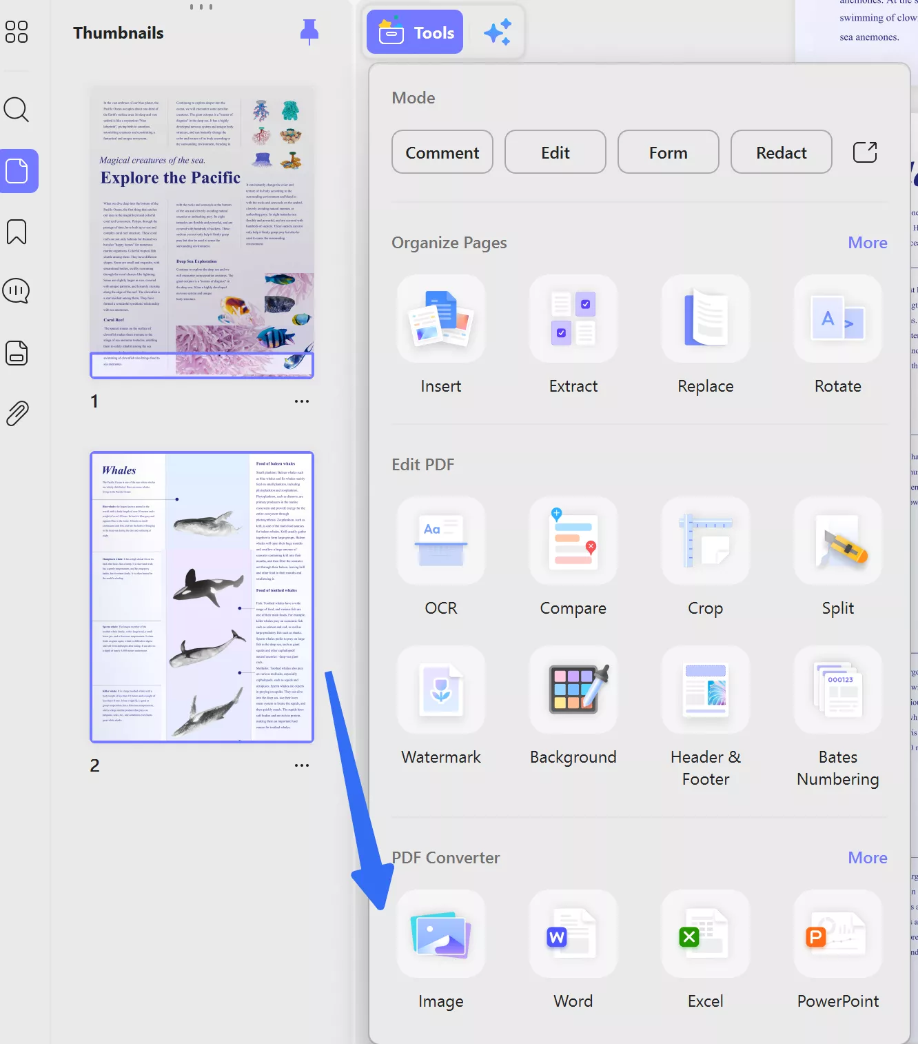 mirror pdf step for converting