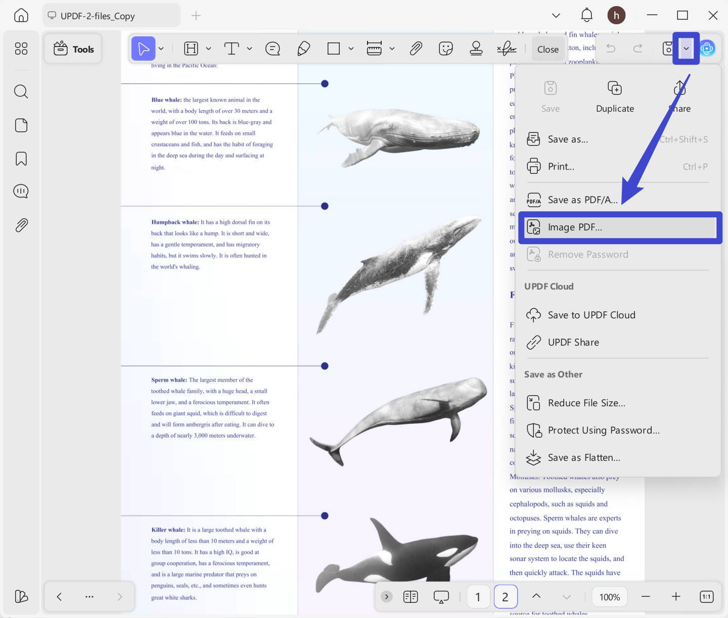 image pdf updf windows