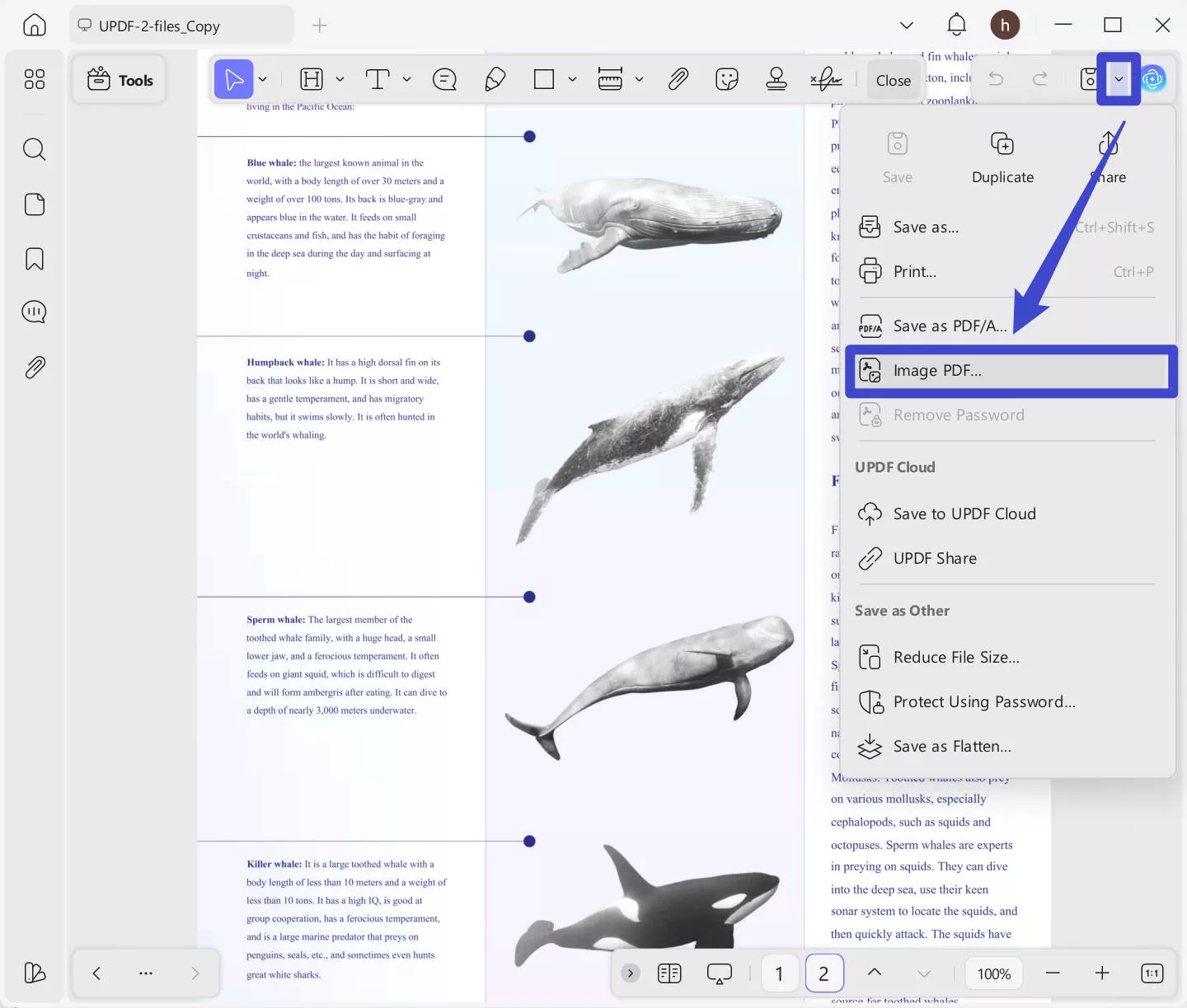 image pdf updf windows